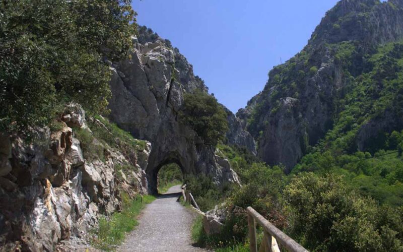 ruta del oso en bici