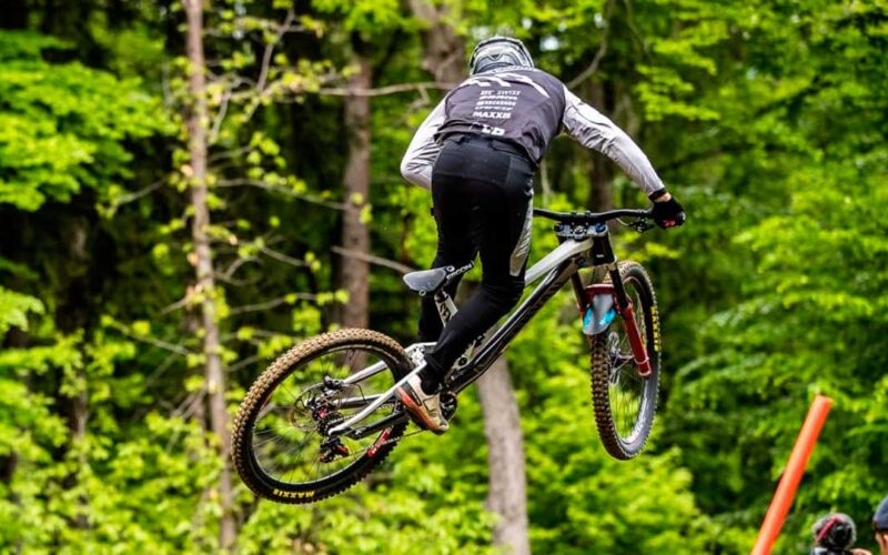 Cubiertas Maxxis 29